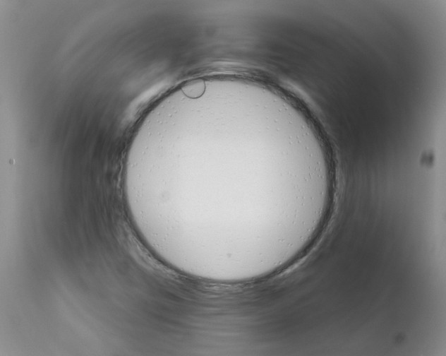 X0000111511403200908251102