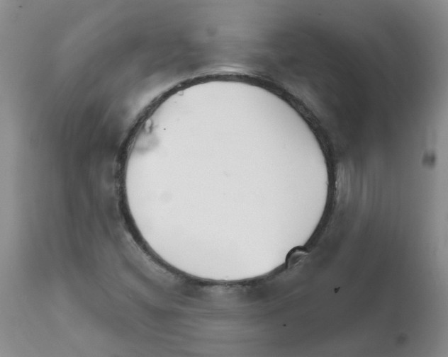 X0000111511404200908251102