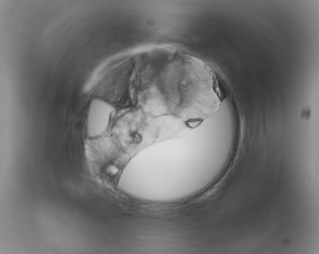 X0000111511405200908251102