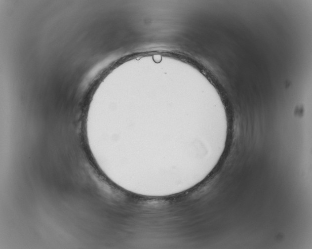 X0000111511406200908251102