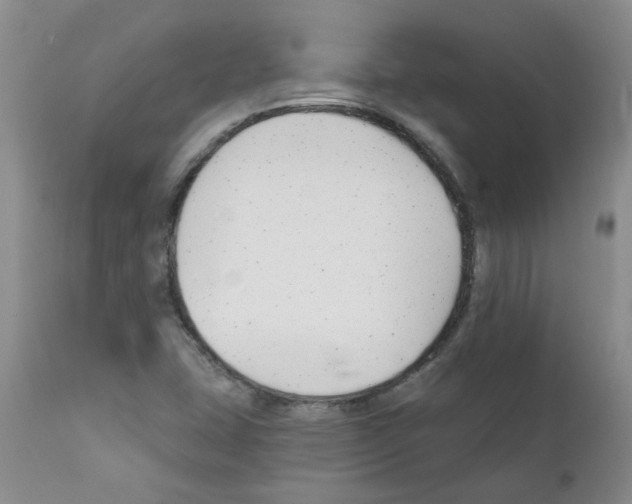 X0000111511407200908251102