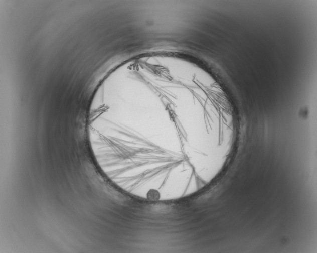 X0000111511409200908251102