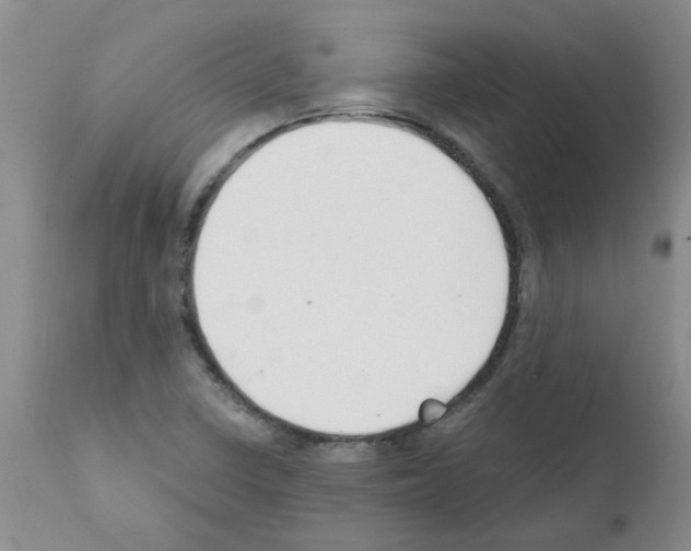 X0000111511410200908251102