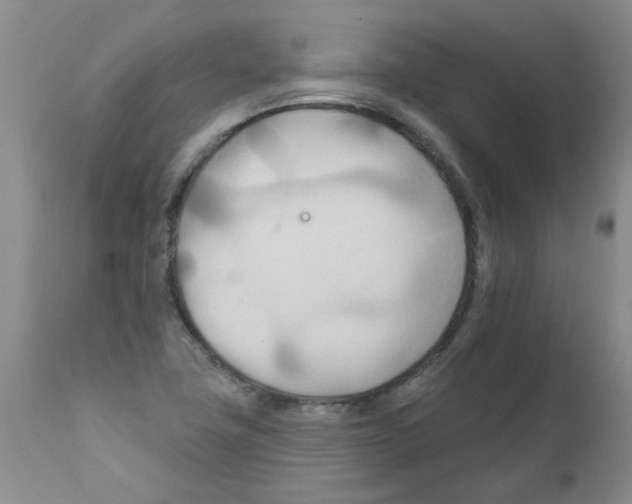 X0000111511411200908251102
