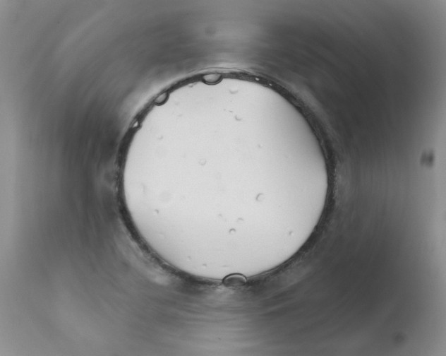 X0000111511412200908251102