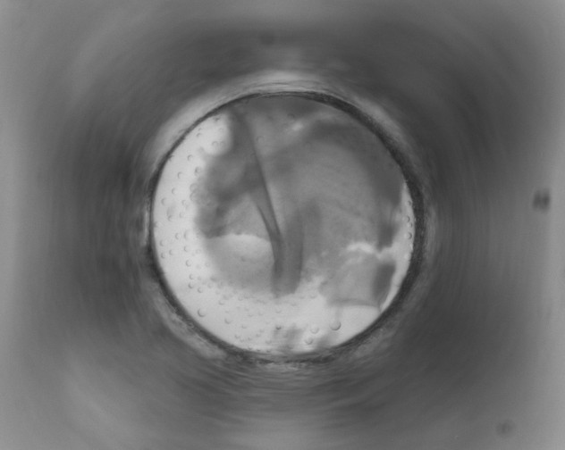 X0000111511413200908251102