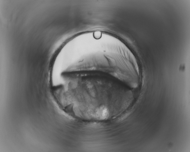 X0000111511414200908251102