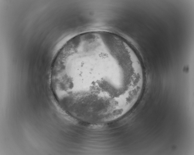 X0000111511415200908251102