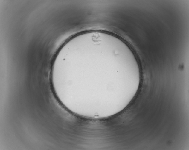 X0000111511416200908251102