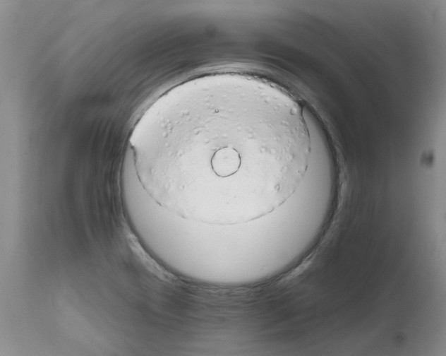 X0000111511417200908251102
