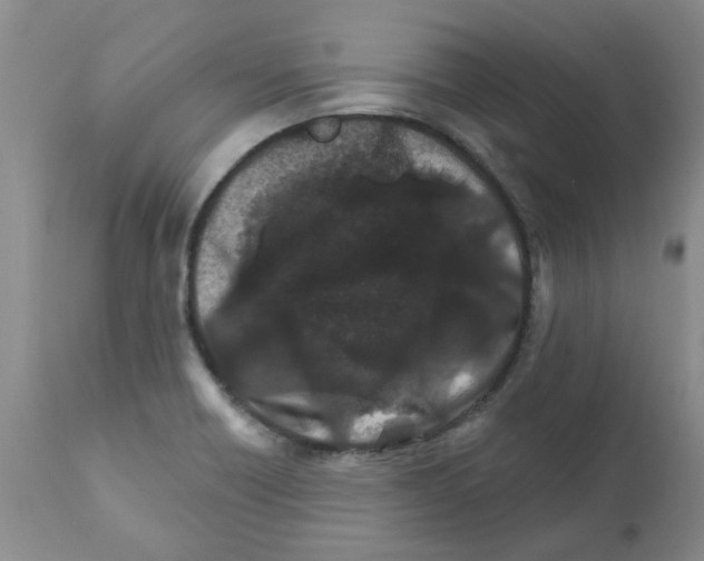 X0000111511418200908251102