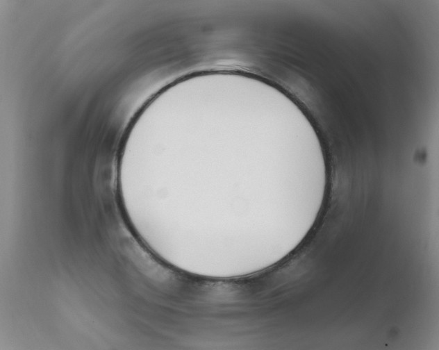 X0000111511420200908251102