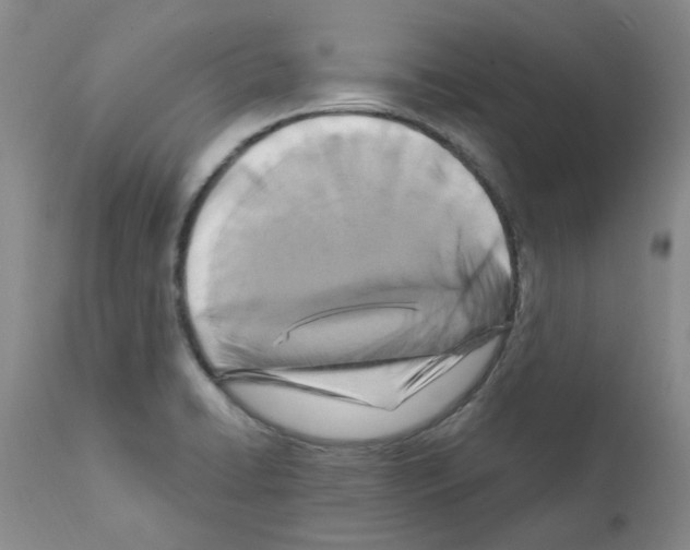 X0000111511422200908251102