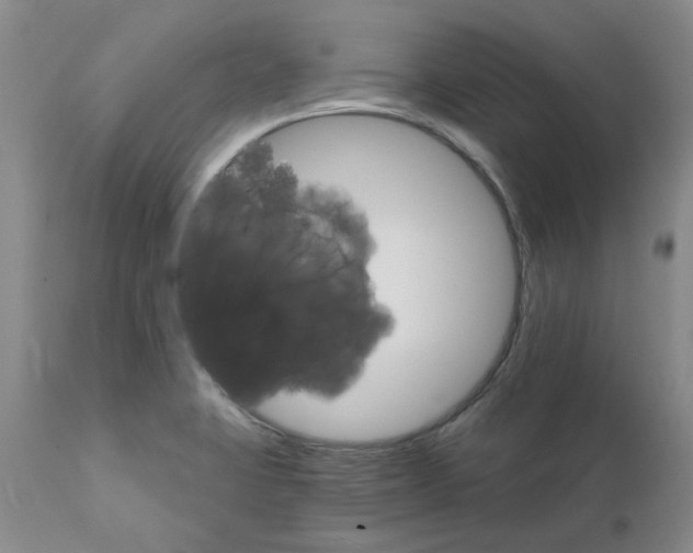 X0000111511423200908251102