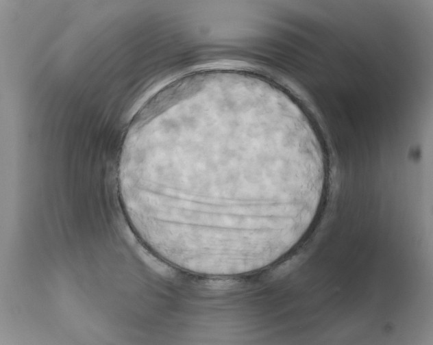 X0000111511425200908251102