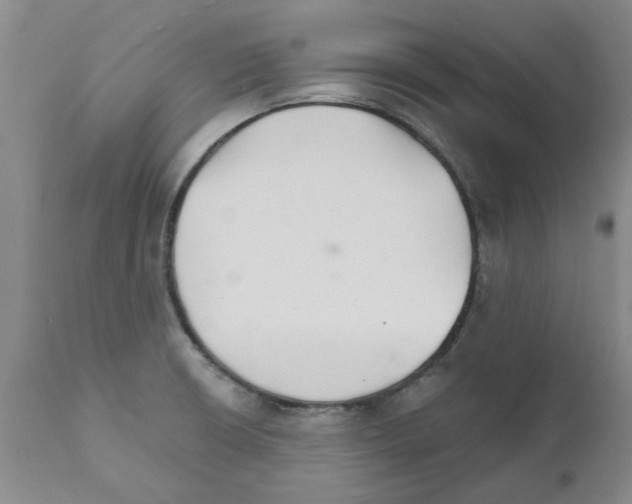 X0000111511426200908251102