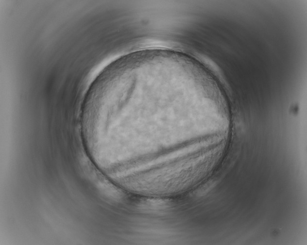 X0000111511427200908251102