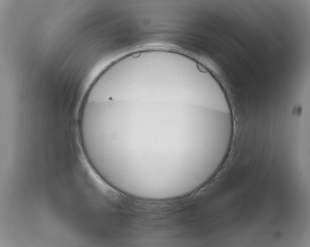 X0000111511430200908251102