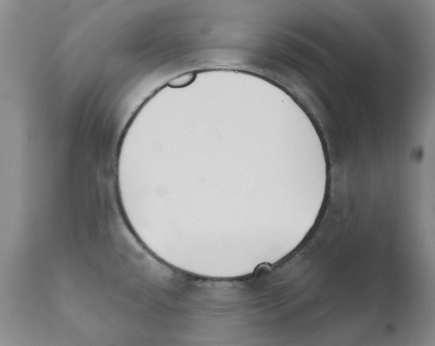 X0000111511432200908251102