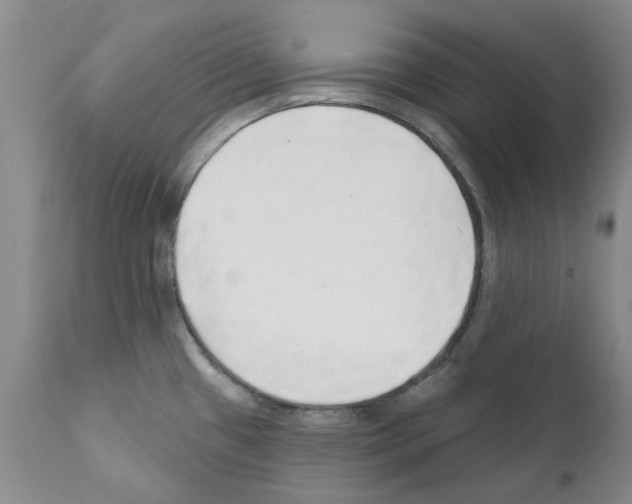 X0000111511433200908251102
