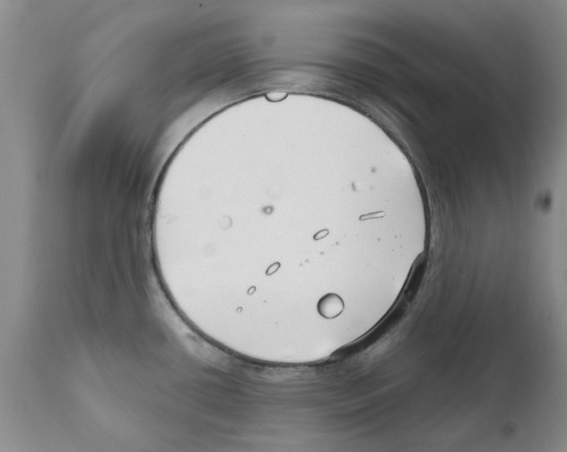 X0000111511434200908251102