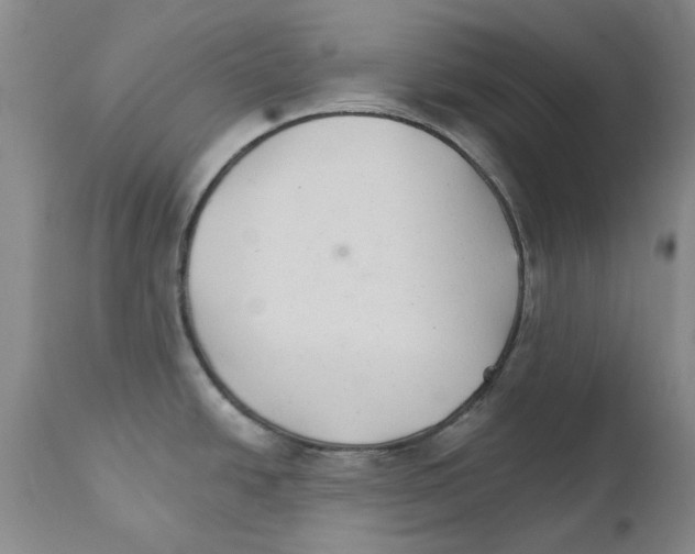 X0000111511438200908251102