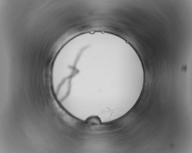 X0000111511439200908251102