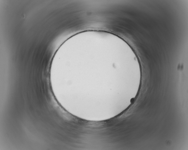 X0000111511440200908251102