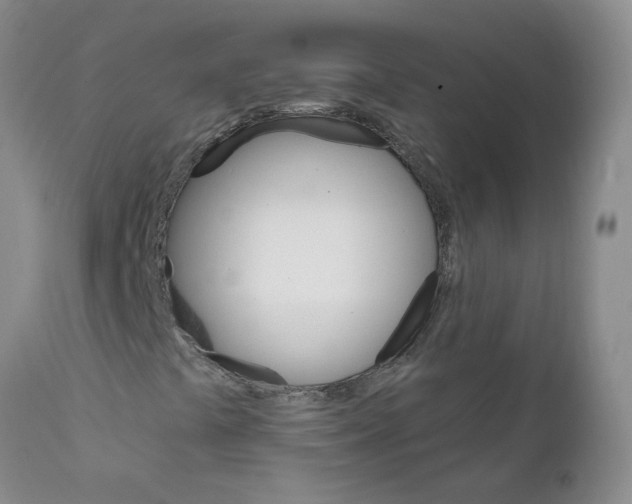 X0000111511441200908251102