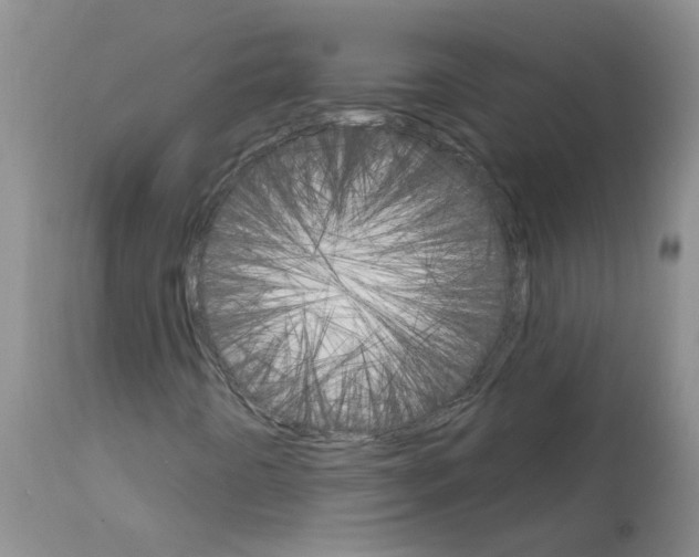 X0000111511442200908251102