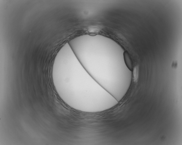 X0000111511443200908251102