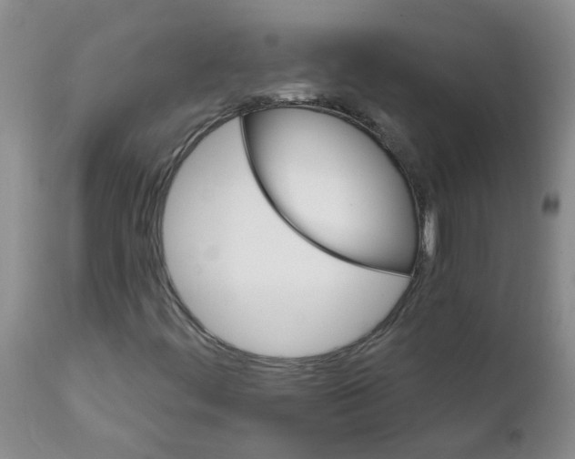 X0000111511444200908251102