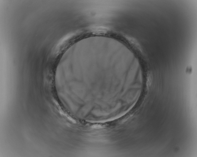 X0000111511445200908251102