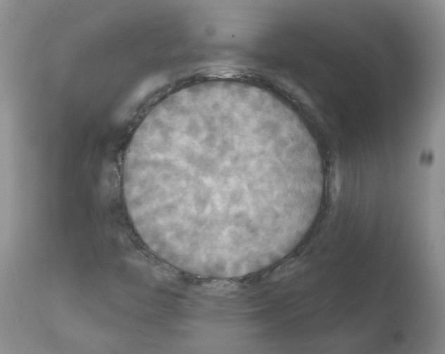 X0000111511446200908251102
