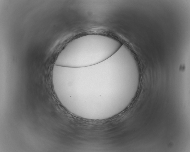 X0000111511447200908251102