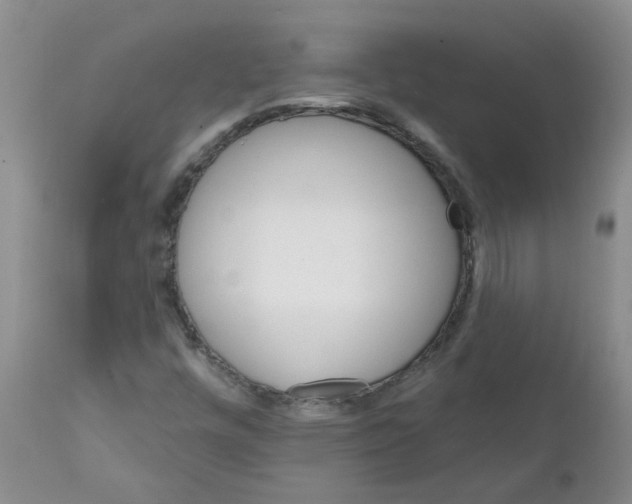 X0000111511448200908251102