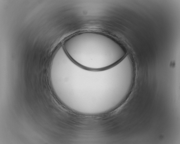 X0000111511449200908251102