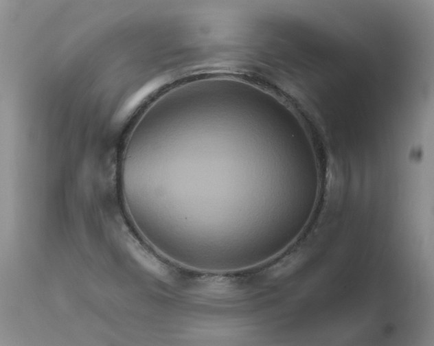 X0000111511450200908251102