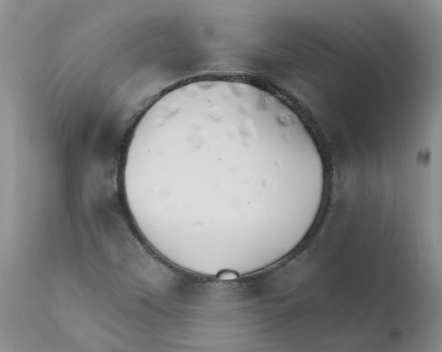 X0000111511451200908251102