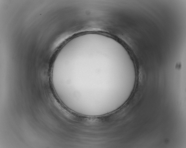 X0000111511452200908251102