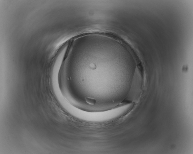 X0000111511453200908251102