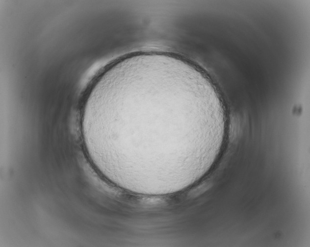 X0000111511454200908251102
