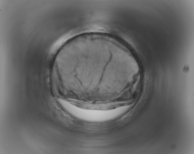 X0000111511455200908251102