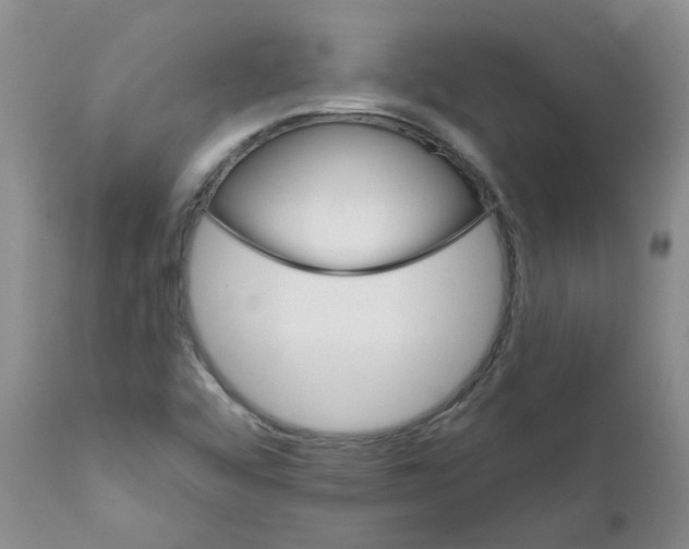 X0000111511456200908251102