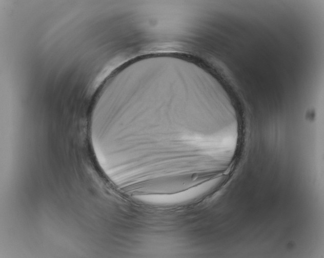 X0000111511457200908251101