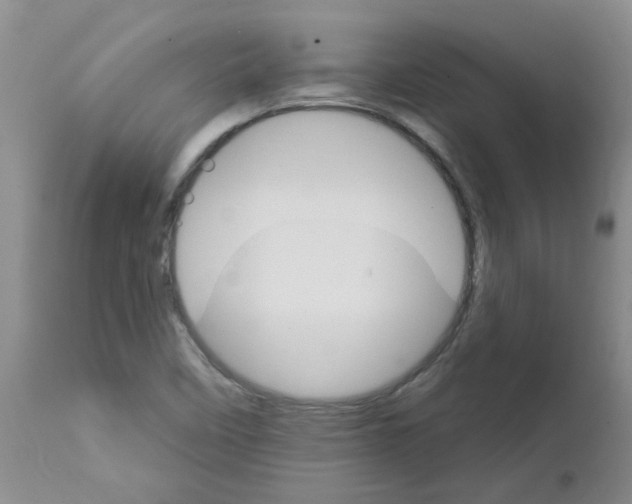 X0000111511458200908251101