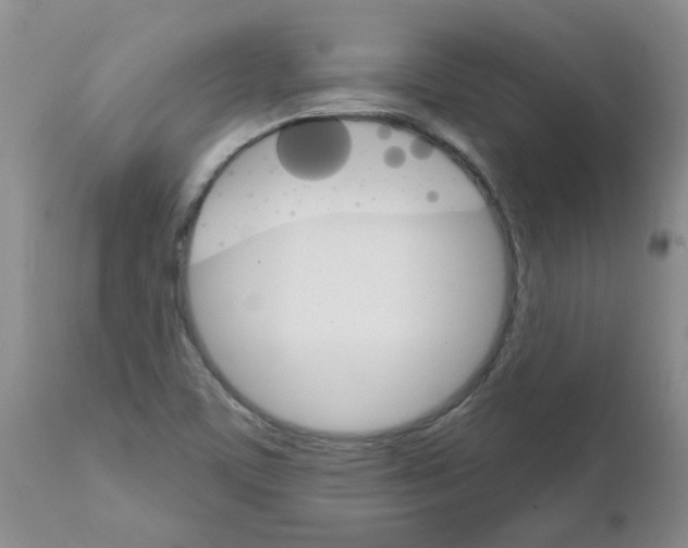 X0000111511459200908251101