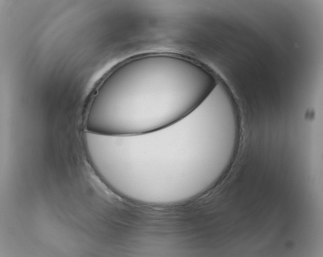 X0000111511460200908251101
