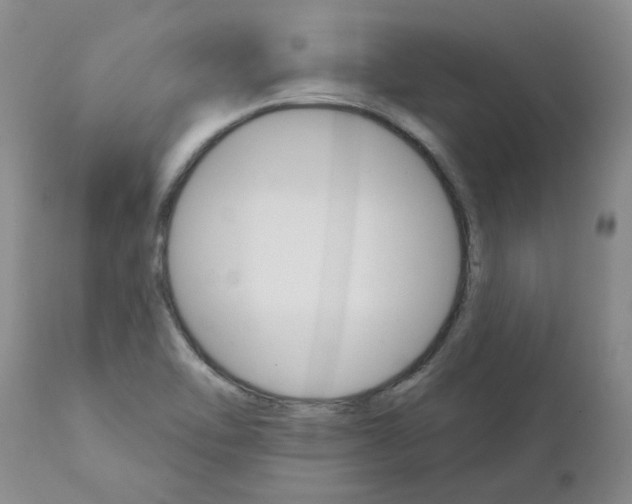 X0000111511462200908251101