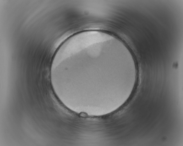 X0000111511465200908251101